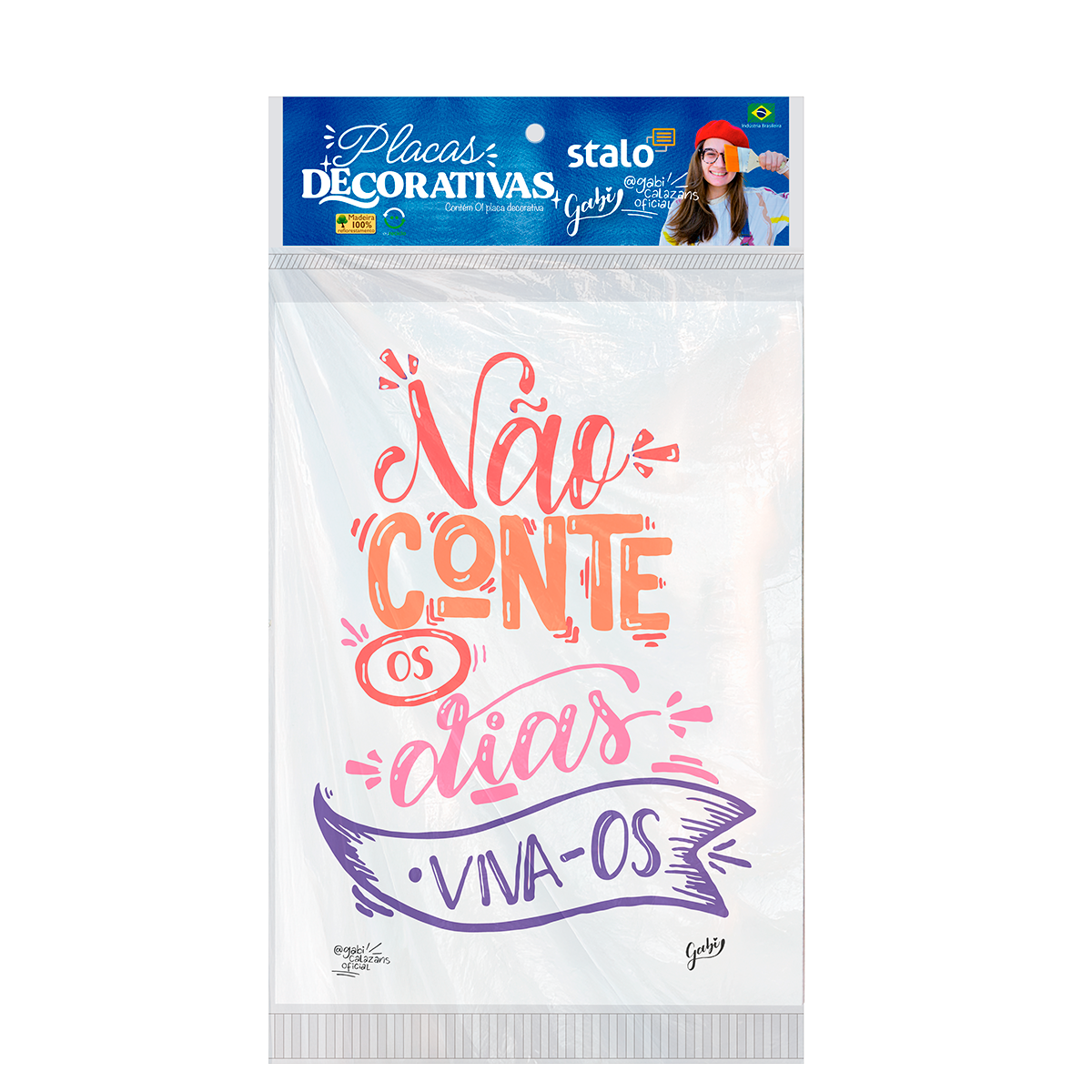 Placa Decorativa Frase Motivacional Não Conte os Dias, Viva-os